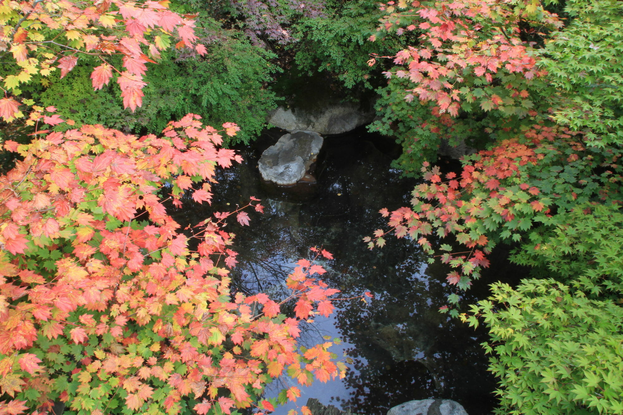Yumoto Choza Hotell Takayama  Exteriör bild